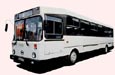 www.bus.al.ru — «Отечественный Автобус»